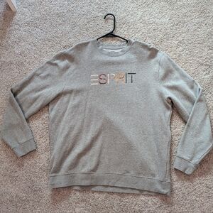 ESPRIT Pacsun light grey embroidered sweatshirt